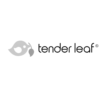 Immagine di Tender Leaf Toys® Bambino Edward con Skateboard