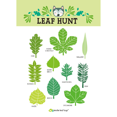 Immagine di Tender Leaf Toys® Esploriamo il bosco