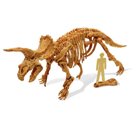 Immagine di Buki® Dino kit da Scavare Triceratops
