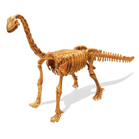 Buki® Dino kit da Scavare Brachiosaurus