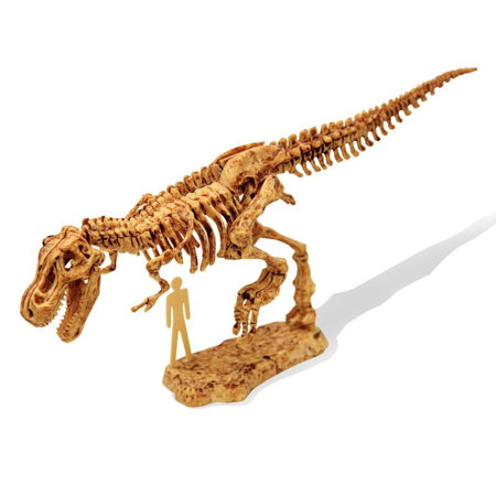 Buki® Dino kit da Scavare Tyrannosaure